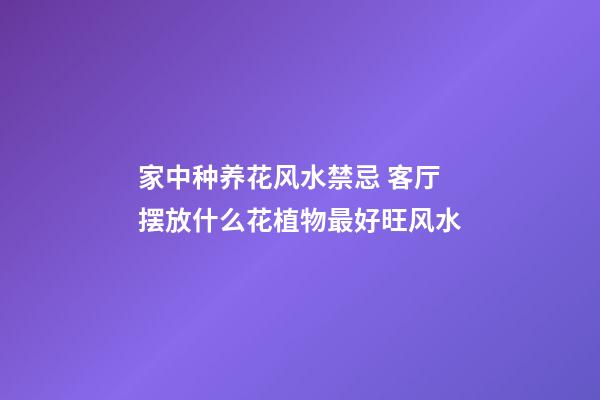 家中种养花风水禁忌 客厅摆放什么花植物最好旺风水